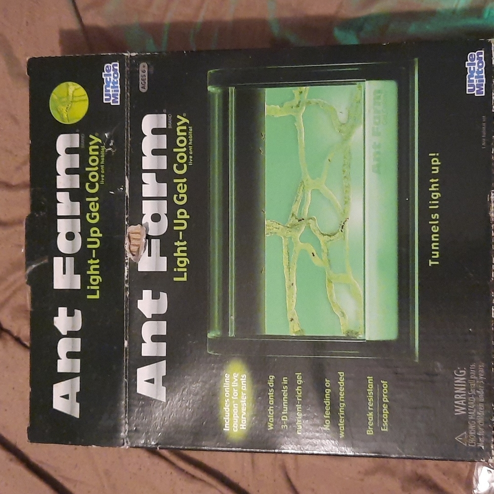 Ant Farm (H80)